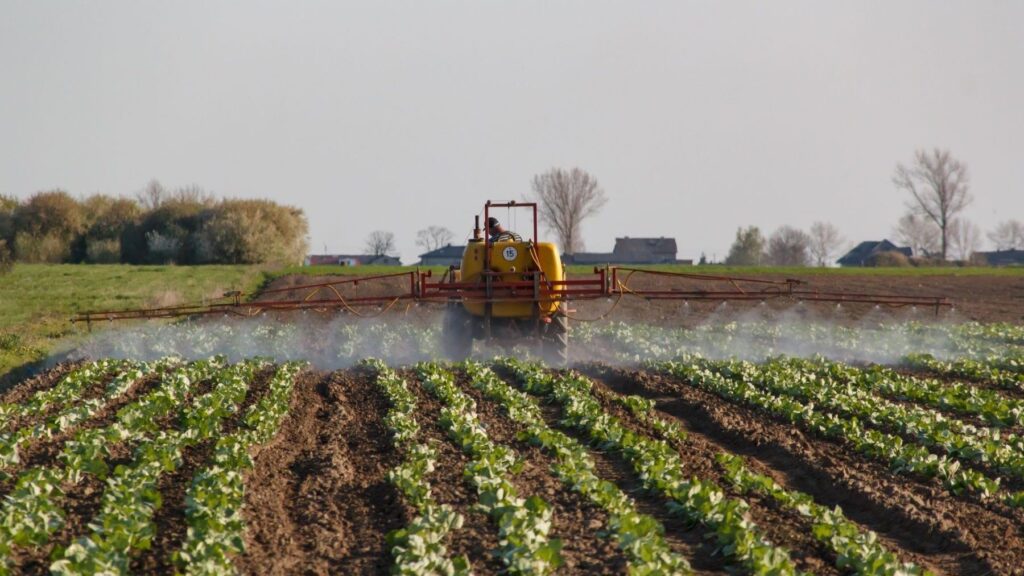 Plaguicidas y biocontrol: IFOAM cuestiona las garantías de la reforma europea