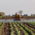 Plaguicidas y biocontrol: IFOAM cuestiona las garantías de la reforma europea