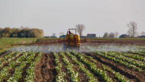 Plaguicidas y biocontrol: IFOAM cuestiona las garantías de la reforma europea