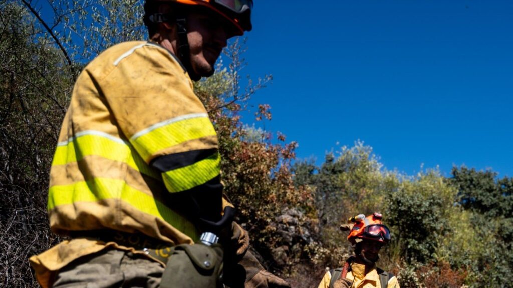 Prevención de incendios forestales mediante la gestión del monte