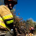 Prevención de incendios forestales mediante la gestión del monte
