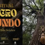 Primer Festival Micro Mundo invita a la comunidad valdiviana a conocer la grandeza de lo pequeño