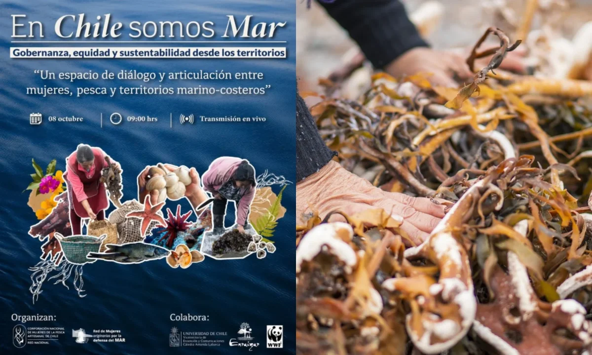 Realizarán seminario sobre el rol de las mujeres en la pesca y los territorios marino-costeros