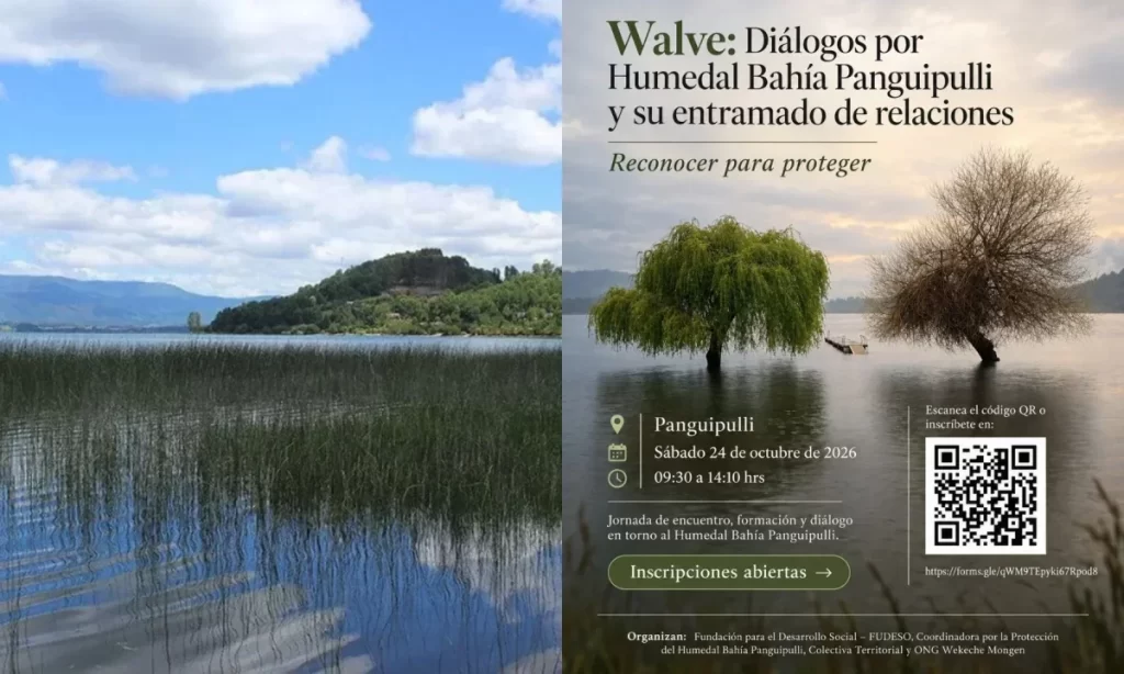 Seminario abordará futuro y cuidado del humedal Bahía Panguipulli