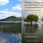 Seminario abordará futuro y cuidado del humedal Bahía Panguipulli