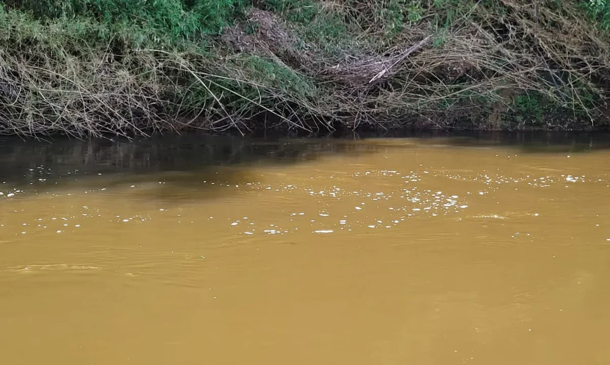 Vecinos denuncian nuevos episodios de contaminación en el río Collileufu